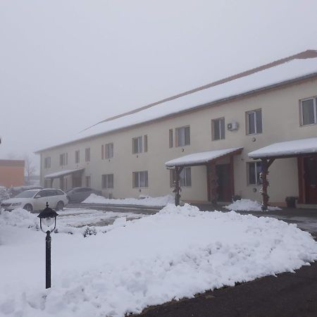 Vila Zoppas Inn Sînnicolau Mare 外观 照片