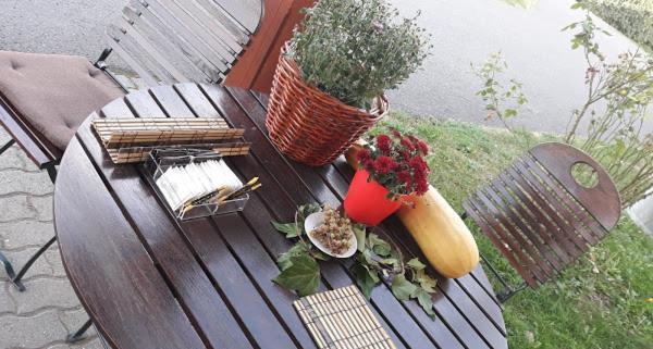 Vila Zoppas Inn Sînnicolau Mare 外观 照片